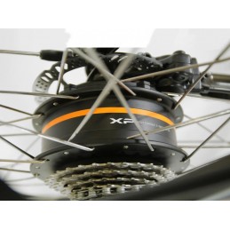 XP BIKE - CITYBIKE D9.1 UNISEX 28" STONE GRAY