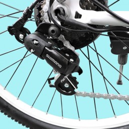 DME Bike - FRIENDLY CITY BIKE V3.2 250W 36V