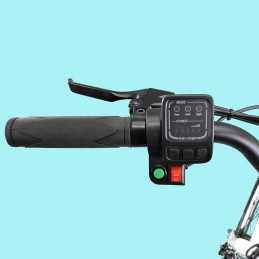 DME Bike - FRIENDLY CITY BIKE V3.2 250W 36V