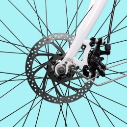 DME Bike - FRIENDLY CITY BIKE V3.2 250W 36V