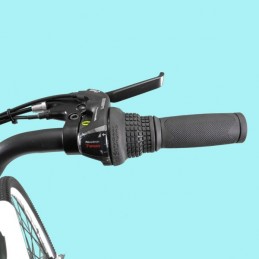 DME Bike - FRIENDLY CITY BIKE V3.2 250W 36V