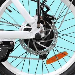 DME Bike - PROCHYTA V1.4 folding bike 250W 36V