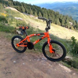 CASADEI - SKUT BMX 20" ACCIAIO