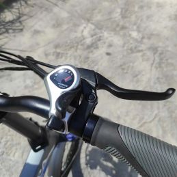 DME Bike - CHRISPA v2.2 Folding Bike 250W 36V