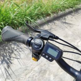 DME Bike - CHRISPA v2.2 Folding Bike 250W 36V