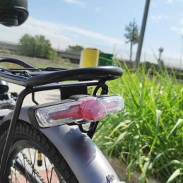 DME Bike - CHRISPA v2.2 Folding Bike 250W 36V