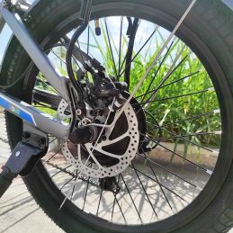 DME Bike - CHRISPA v2.2 Folding Bike 250W 36V