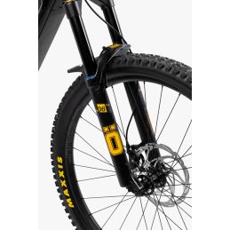 Focarini - Catria 1701 - Polini