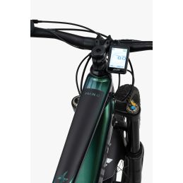 Focarini - Furlo 29" - Polini EP3 730Wh