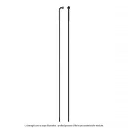 RAGGIO STRONG INOX TESTA...