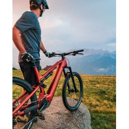 WHISTLE - KNEISSL DESIGN FS04 FULL Bosch CX 4 GEN