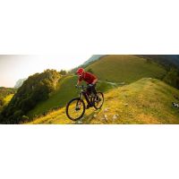 E-MTB Full Alu